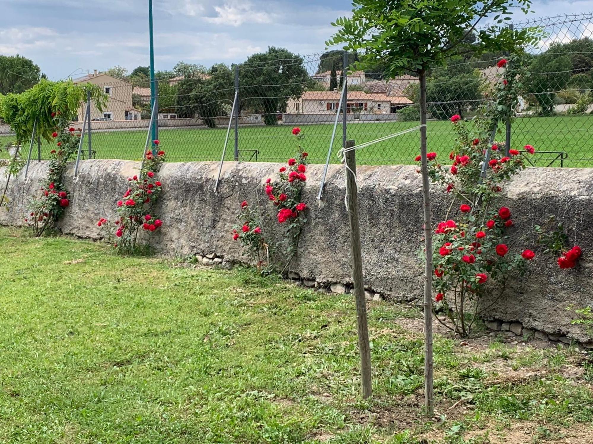Apartmán La Bergerie Domessargues Exteriér fotografie
