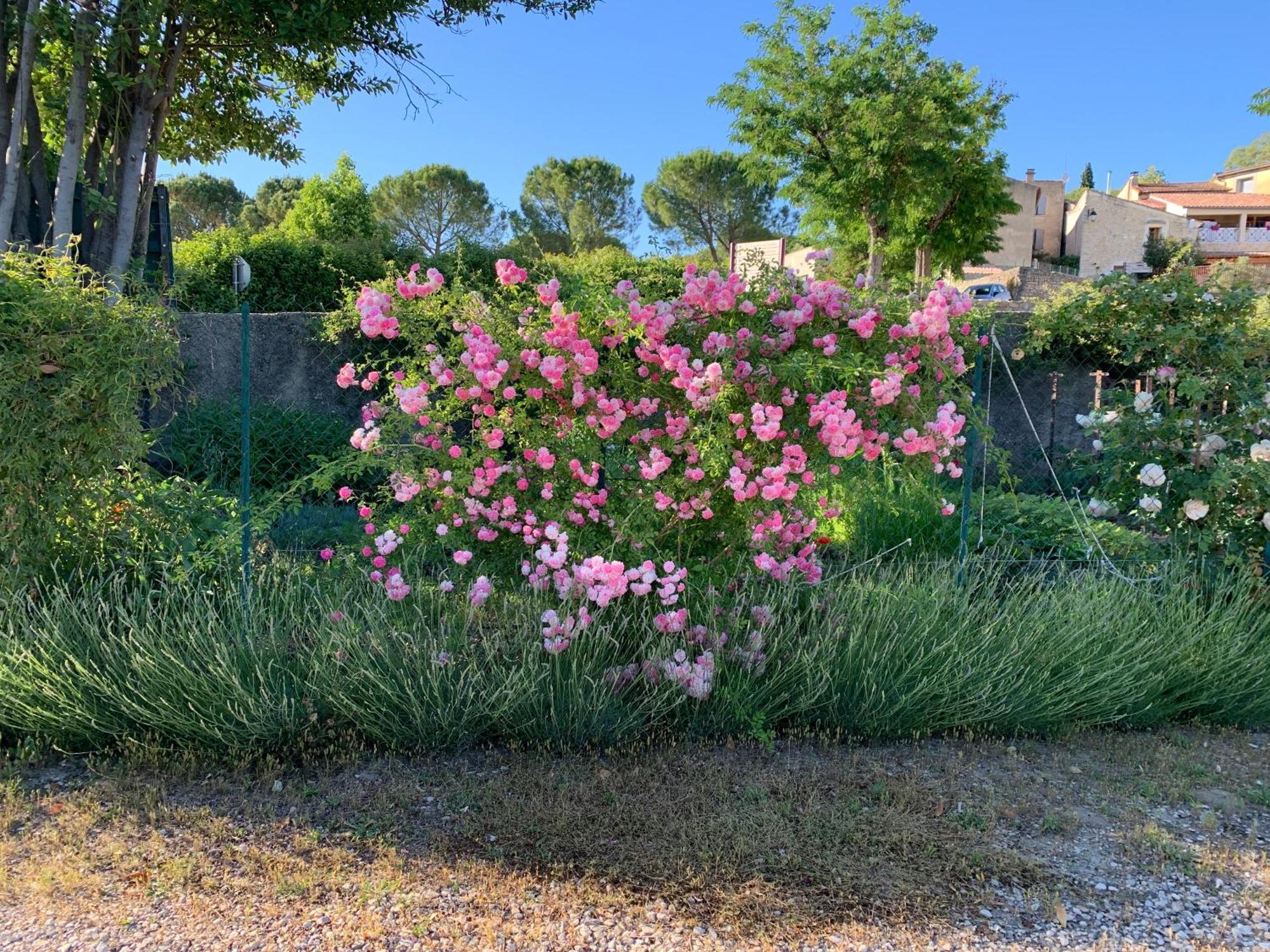 Apartmán La Bergerie Domessargues Exteriér fotografie