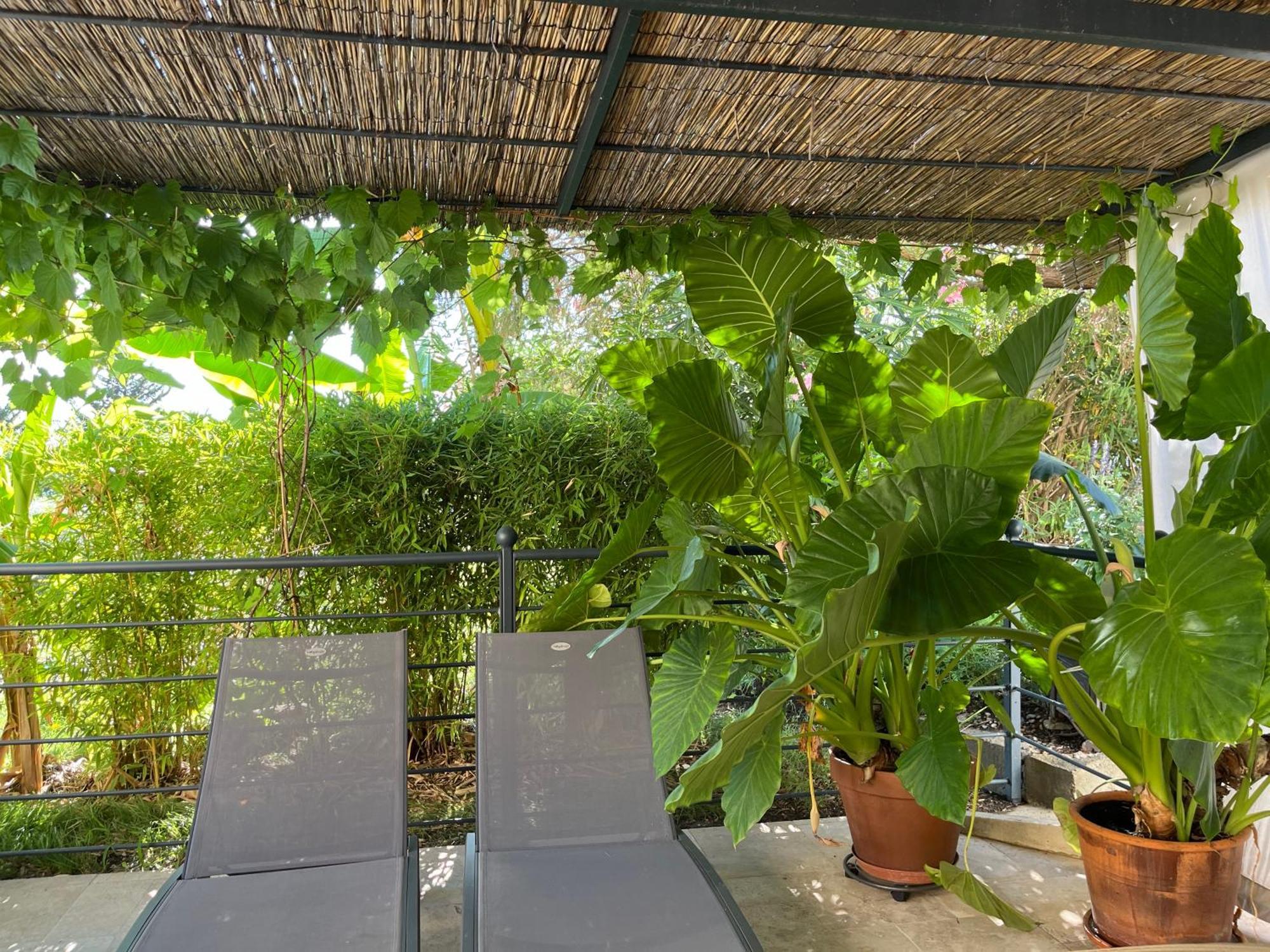 Apartmán La Bergerie Domessargues Exteriér fotografie