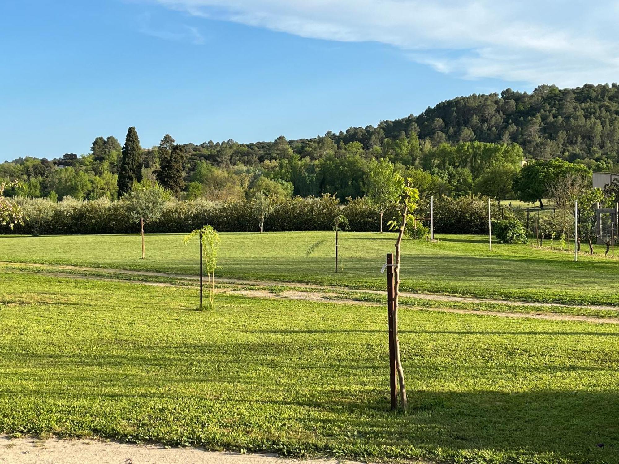 Apartmán La Bergerie Domessargues Exteriér fotografie