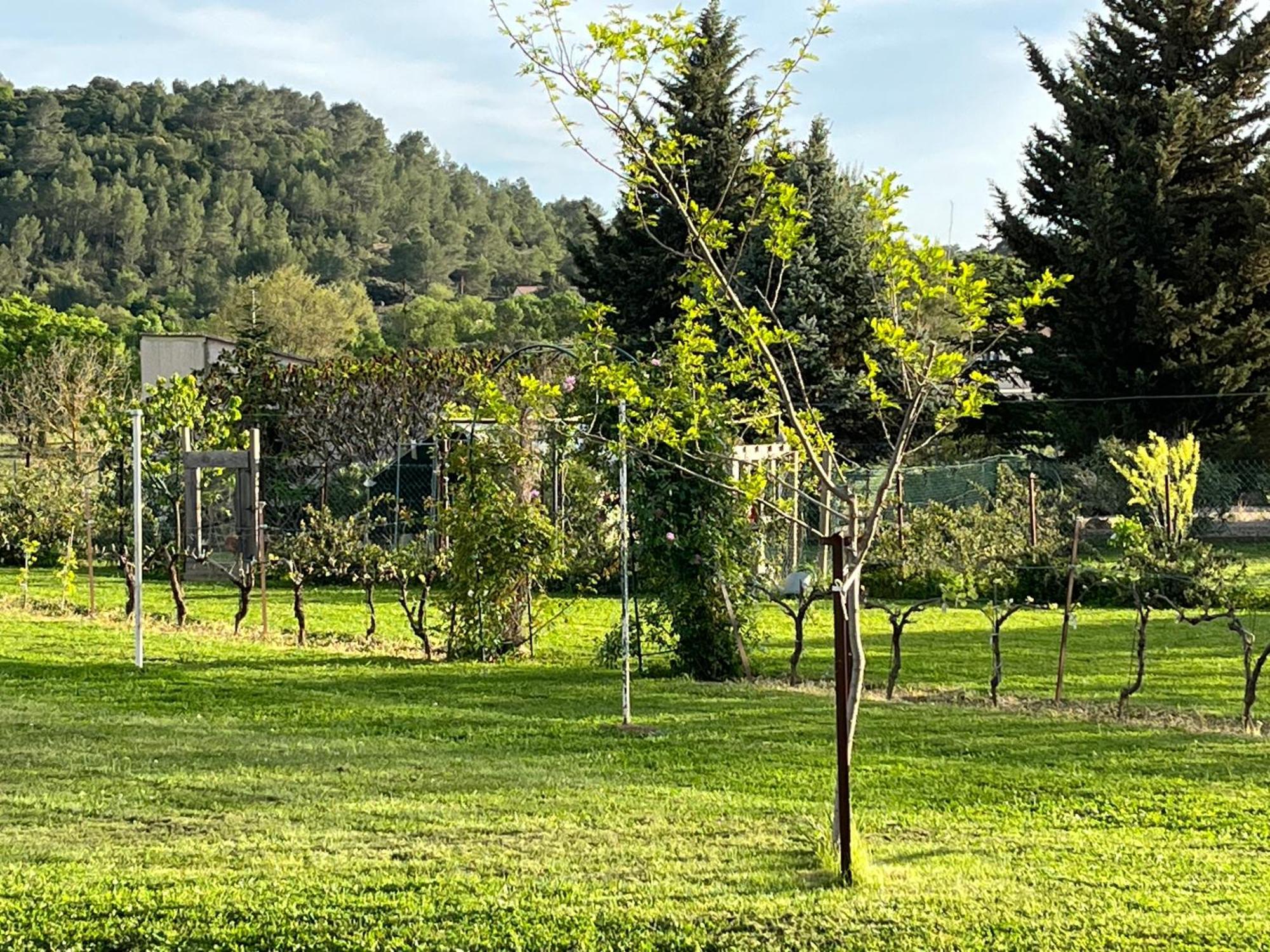 Apartmán La Bergerie Domessargues Exteriér fotografie